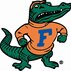 Gator Fan