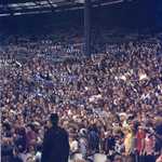 Chelsea Loyal