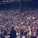 Chelsea Loyal