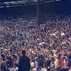 Chelsea Loyal