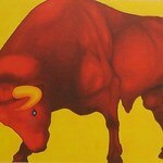 J Bulls