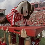 Bucky Badger