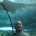 Shark_crop_51x51