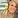 Kaitlyn Vincie