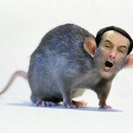 Will Moss