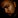 David Mayer