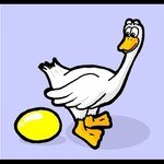The Goose