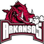 Razorback Fan