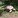 Jared Barnes