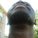 Omagus
