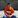 Matt Miselis