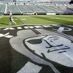 Silver  'n Black