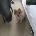 Von