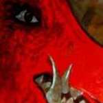 Shane Johnston