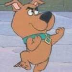 Scrappy