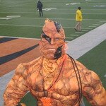 The Bengal Thing