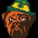 Irish Dawg42