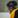 Mike Burse
