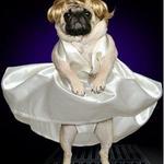 Pudge Woburn