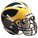 The Wolverine