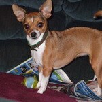 KellyandPeanut