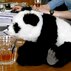 drunkPANDAbear