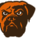 Dawg Pound