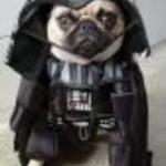 darth evader evader