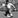 Jack Donald