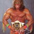 Dynamite Bill