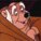 Friar Tuck