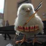 The Last Chicken BKAAAAK