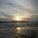 Michael Murphy