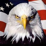 Okie Gamecock