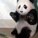 Tim Quek