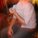Nick Feely