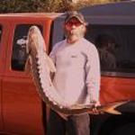 King Snag
