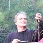 Maxwell Davis