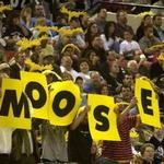 Moose  .