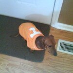 Neyland's Maxims