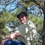Stephen Cook