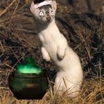 Pip Weasle