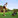 sean hewett