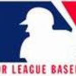 Baseball Lover