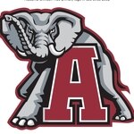 Bama Bronco