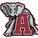 Bama Bronco