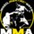 MMARoberto MMA-FAN