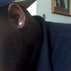 Aaron Ware
