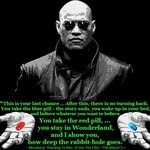 RAW TALK101