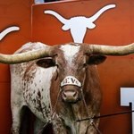 Hook Em